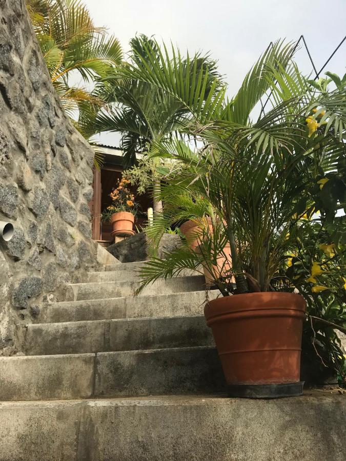 Villa Moai 974 생뢰 외부 사진